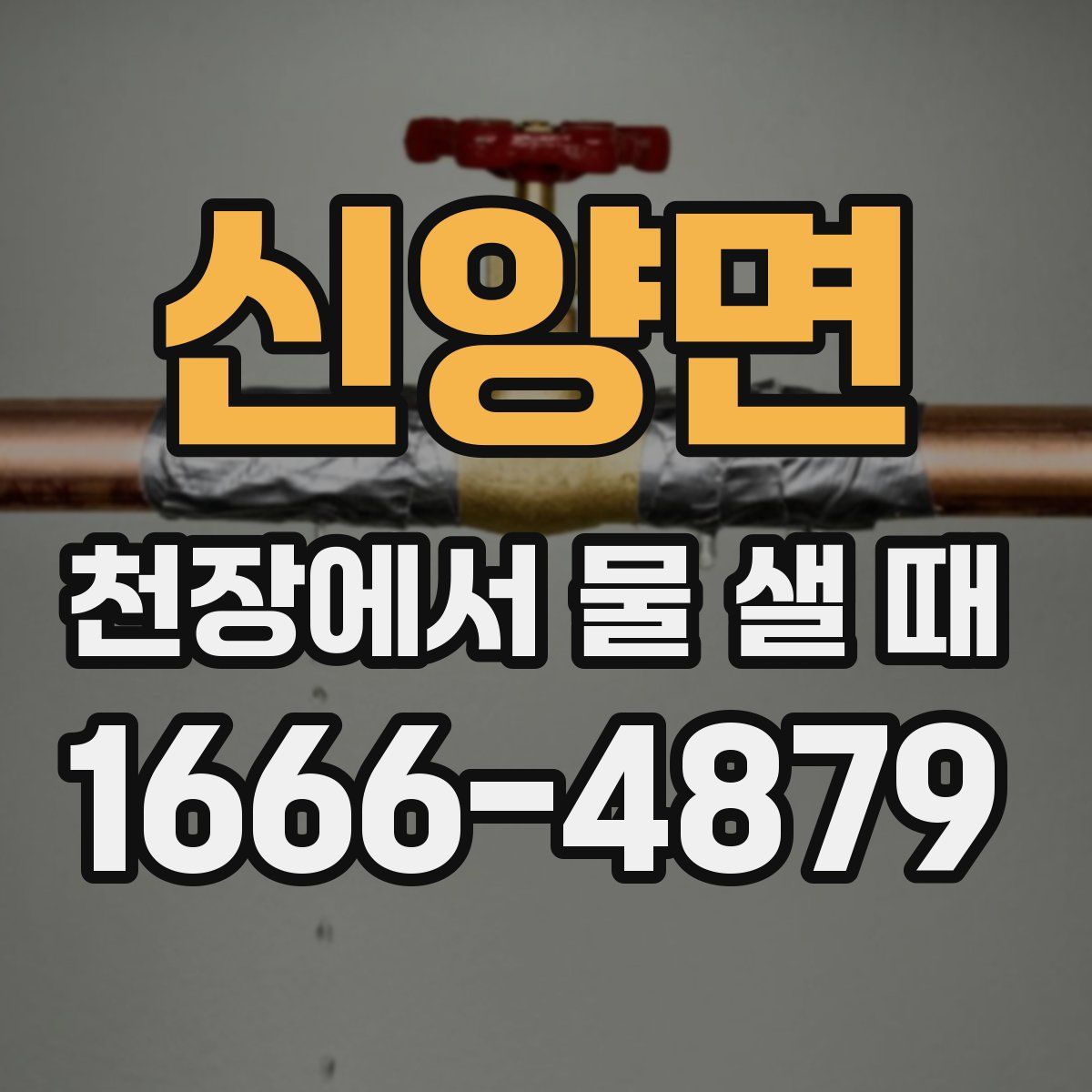 신양면 천장에서 물 샐 때