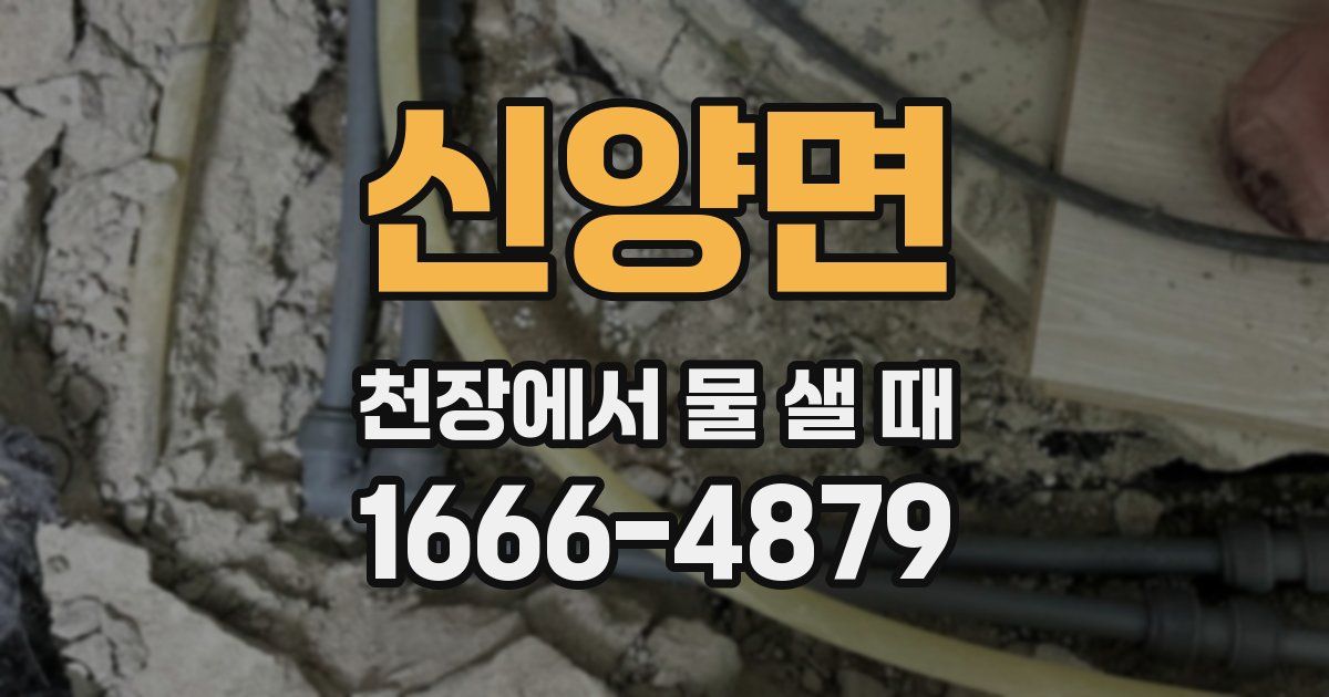 신양면 천장에서 물 샐 때