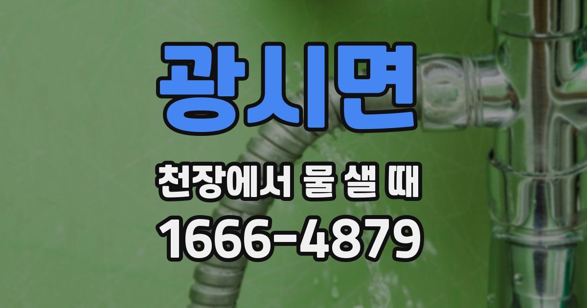 광시면 천장에서 물 샐 때