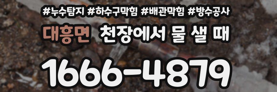 대흥면 천장에서 물 샐 때
