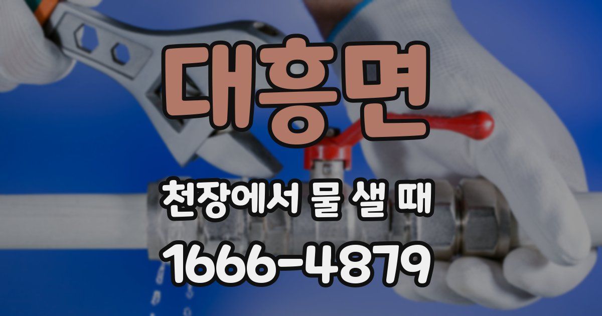 대흥면 천장에서 물 샐 때
