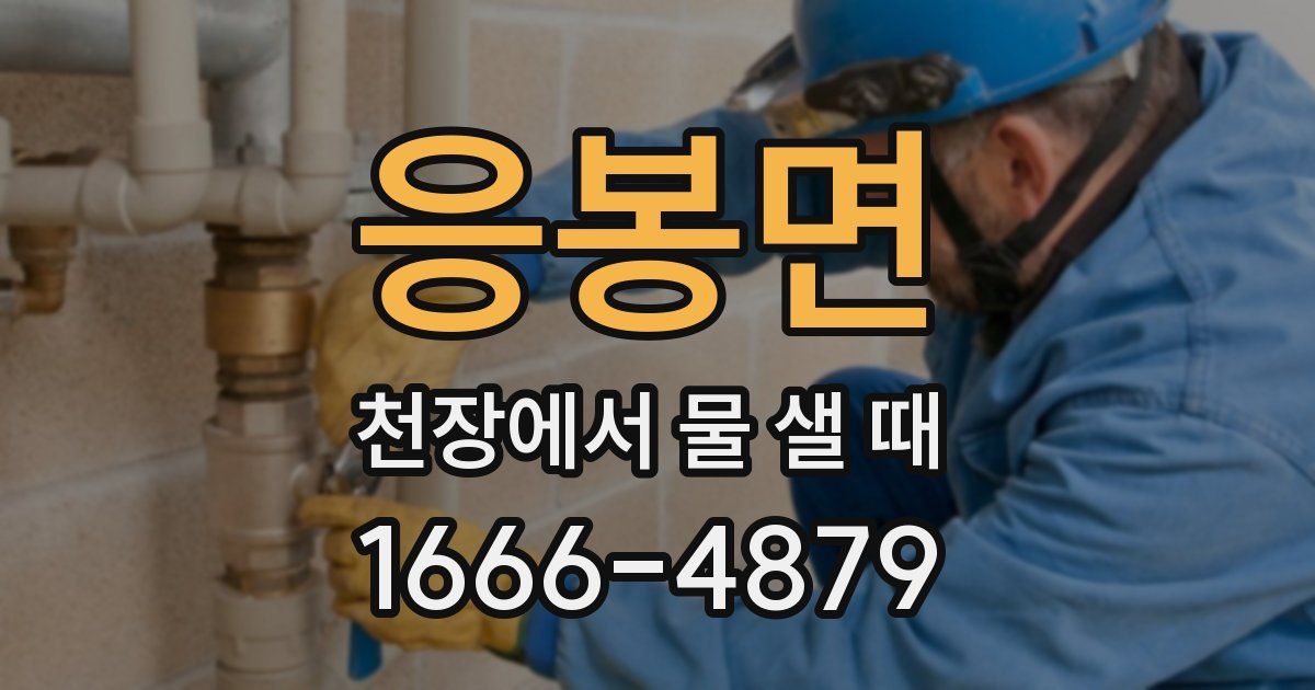 응봉면 천장에서 물 샐 때