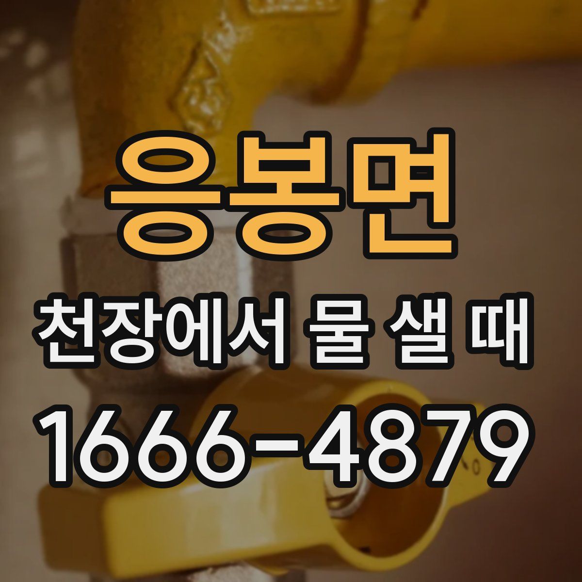응봉면 천장에서 물 샐 때