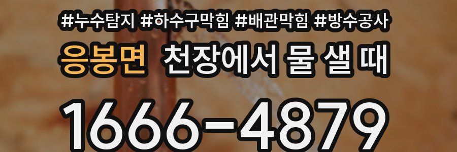 응봉면 천장에서 물 샐 때
