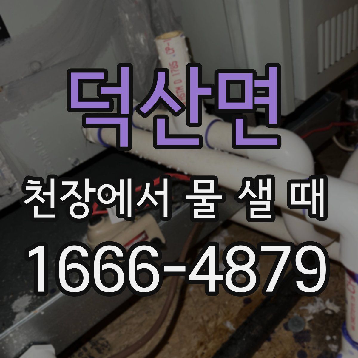 덕산면 천장에서 물 샐 때