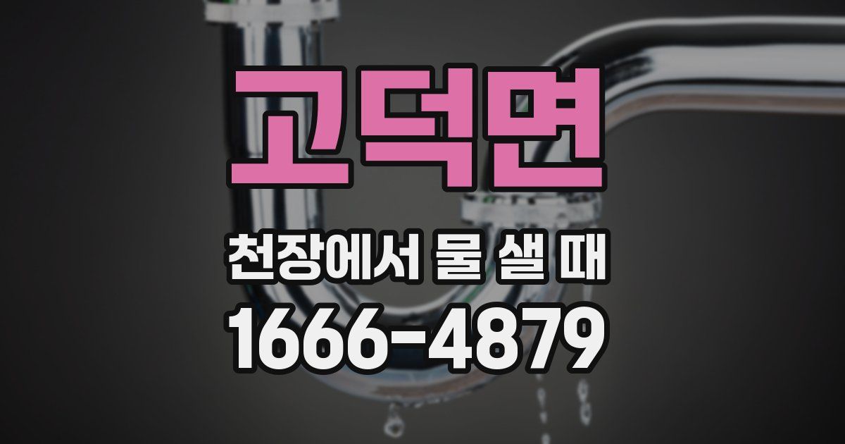 고덕면 천장에서 물 샐 때