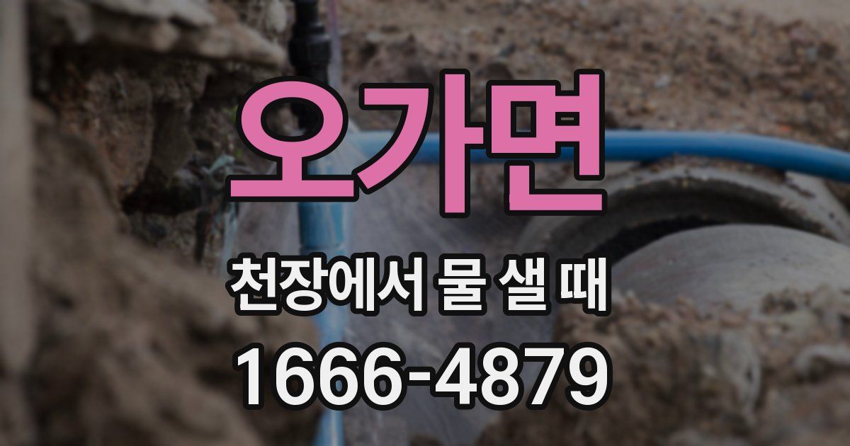 오가면 천장에서 물 샐 때