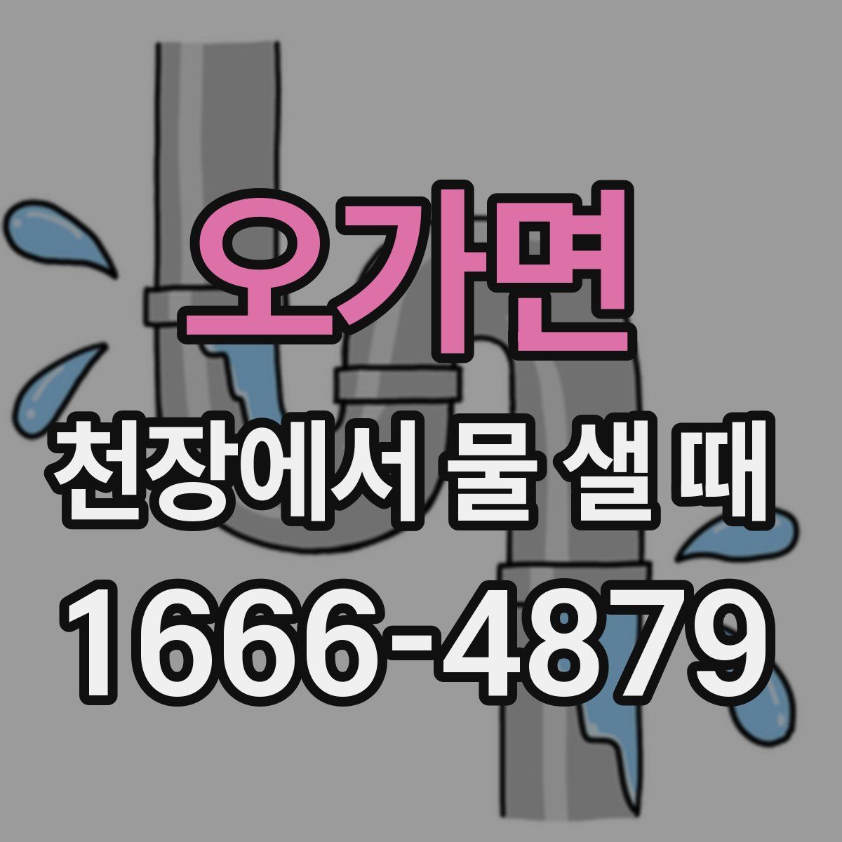 오가면 천장에서 물 샐 때