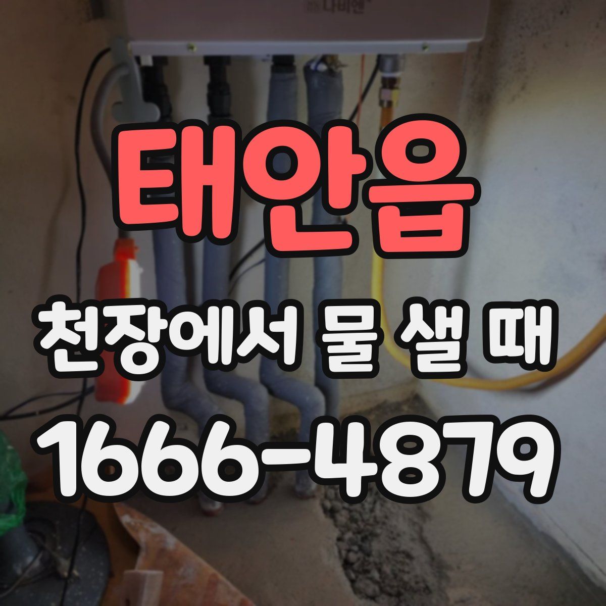 태안읍 천장에서 물 샐 때