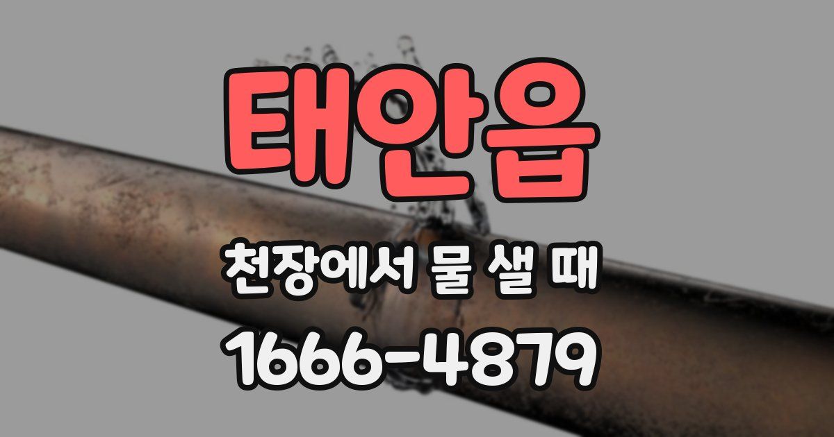 태안읍 천장에서 물 샐 때