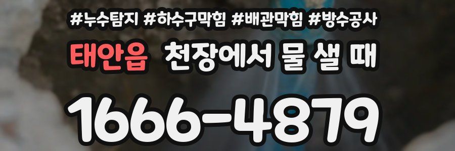 태안읍 천장에서 물 샐 때