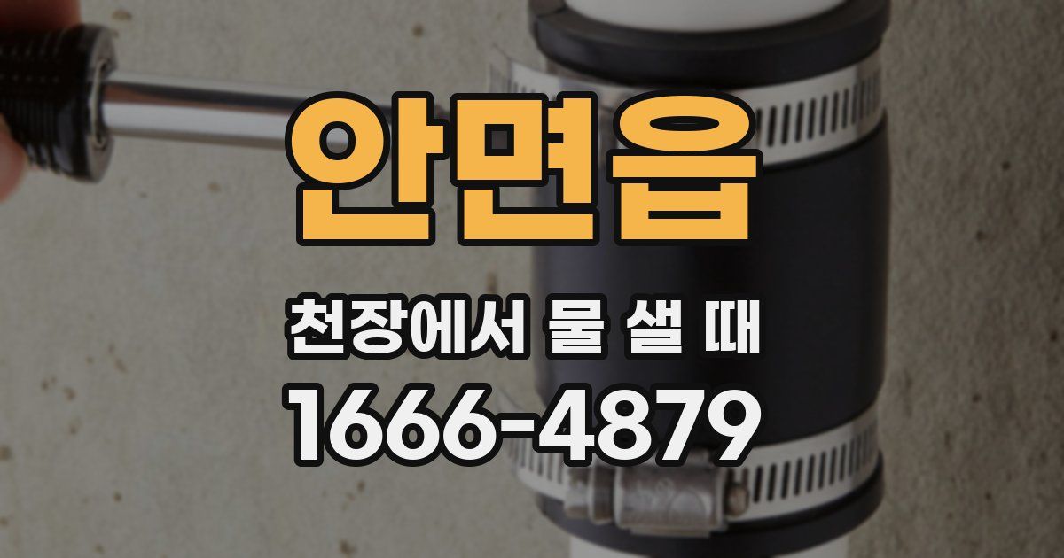 안면읍 천장에서 물 샐 때