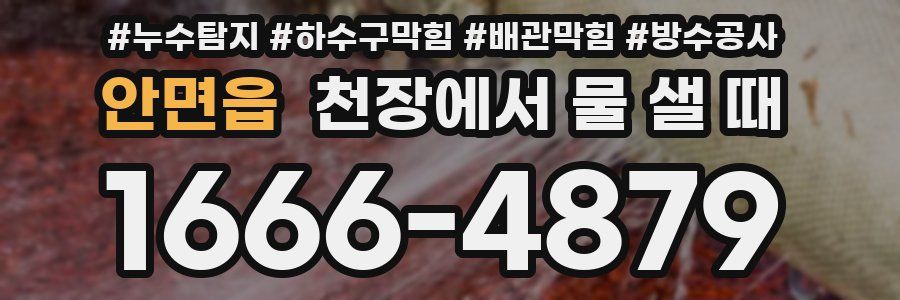안면읍 천장에서 물 샐 때