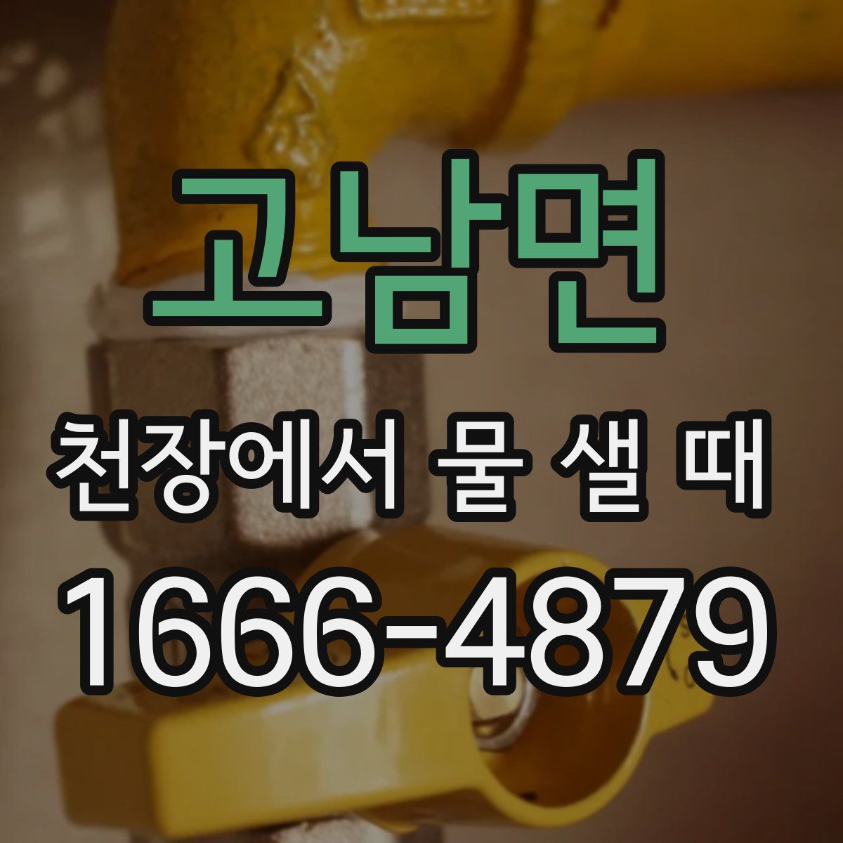 고남면 천장에서 물 샐 때