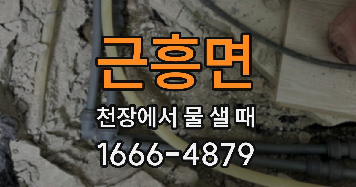근흥면 천장에서 물 샐 때