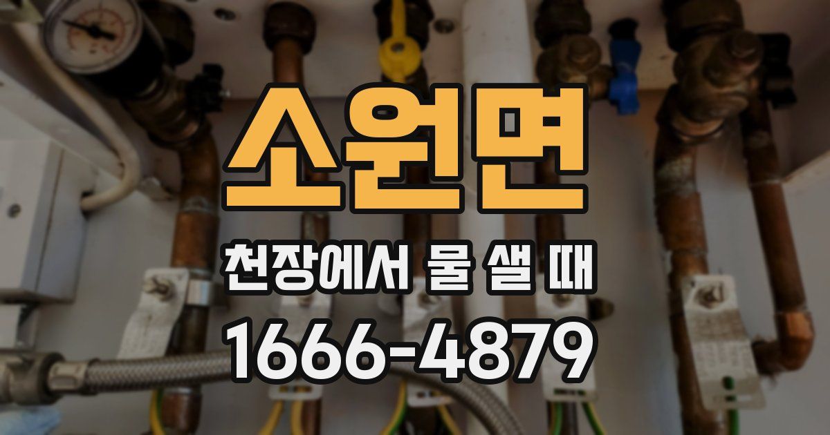 소원면 천장에서 물 샐 때
