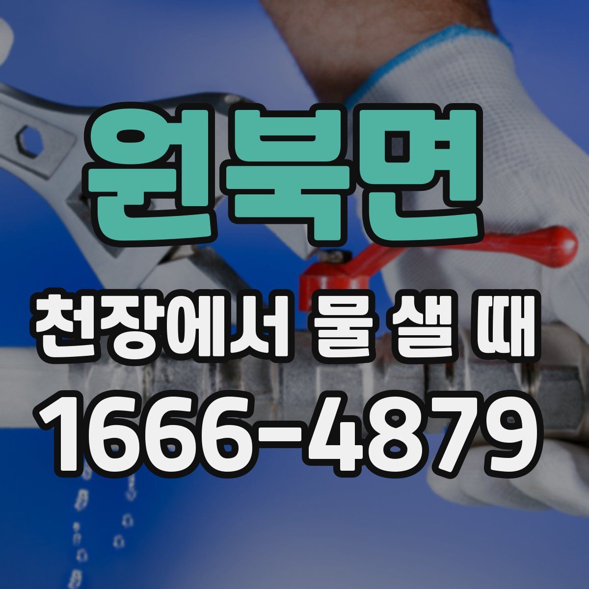 원북면 천장에서 물 샐 때