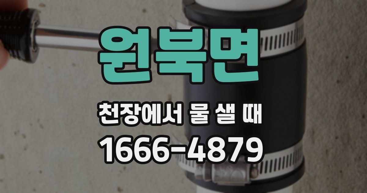 원북면 천장에서 물 샐 때