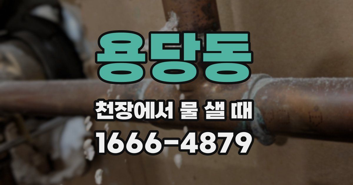 용당동 천장에서 물 샐 때