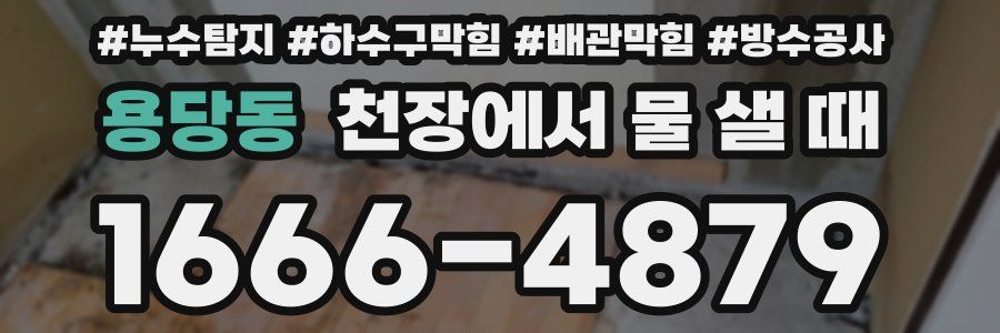 용당동 천장에서 물 샐 때