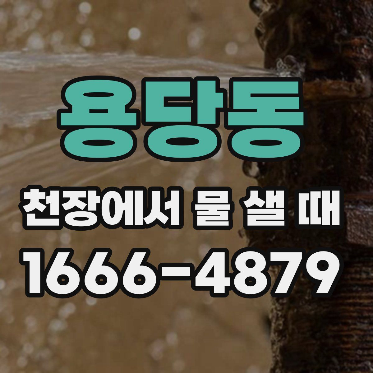 용당동 천장에서 물 샐 때