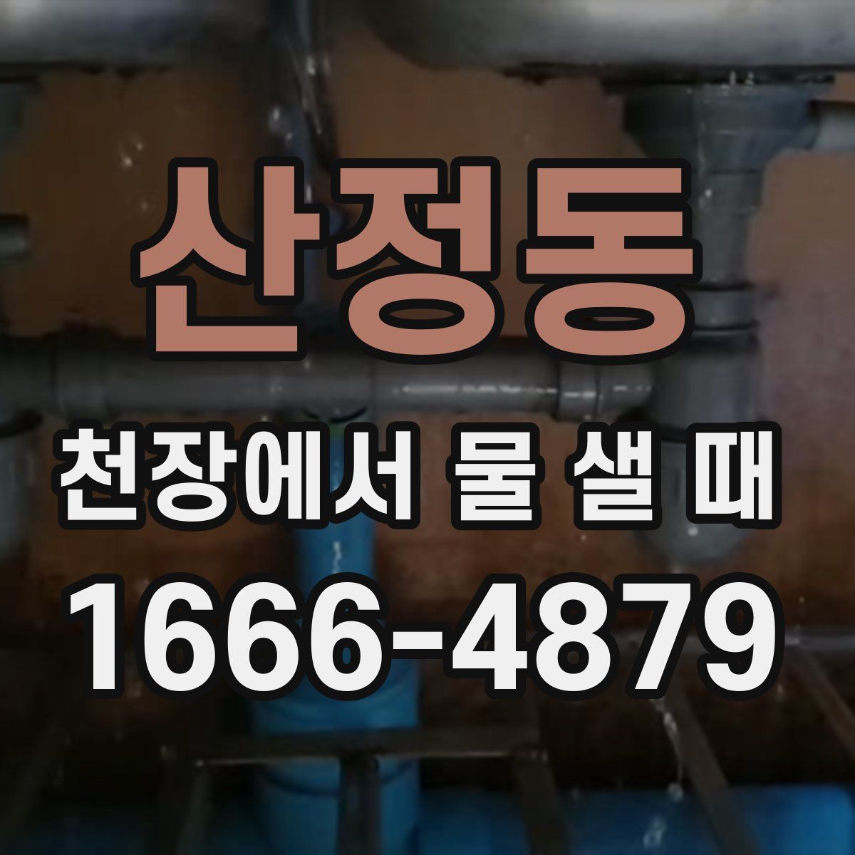 산정동 천장에서 물 샐 때