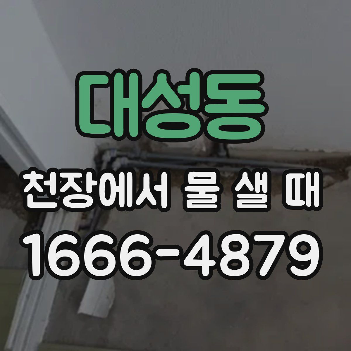 대성동 천장에서 물 샐 때