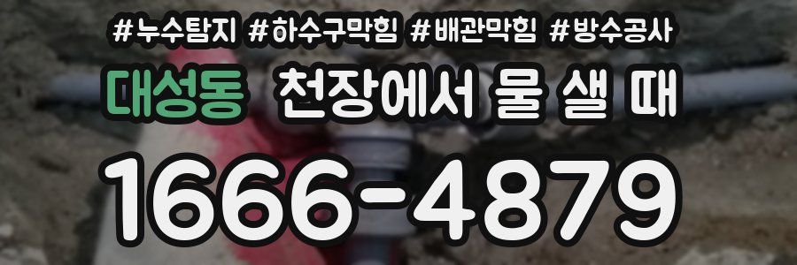 대성동 천장에서 물 샐 때
