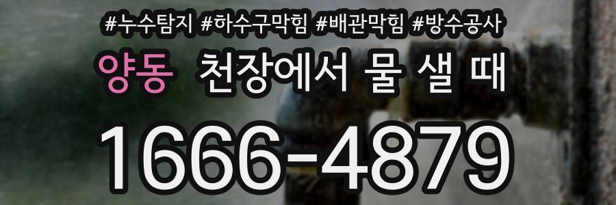 양동 천장에서 물 샐 때