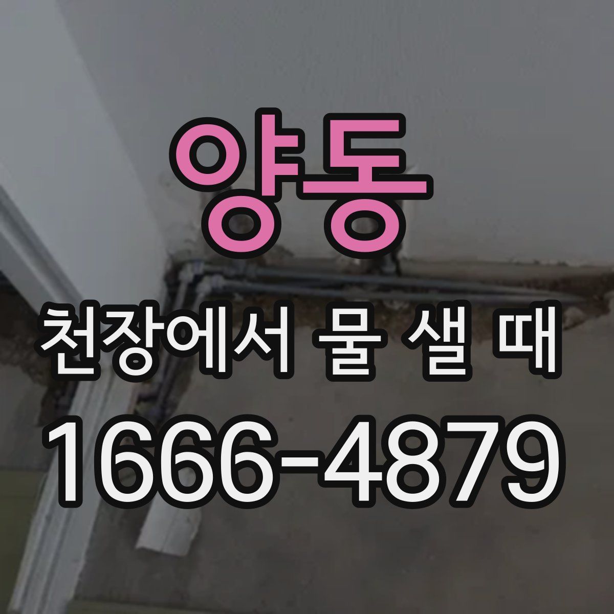 양동 천장에서 물 샐 때