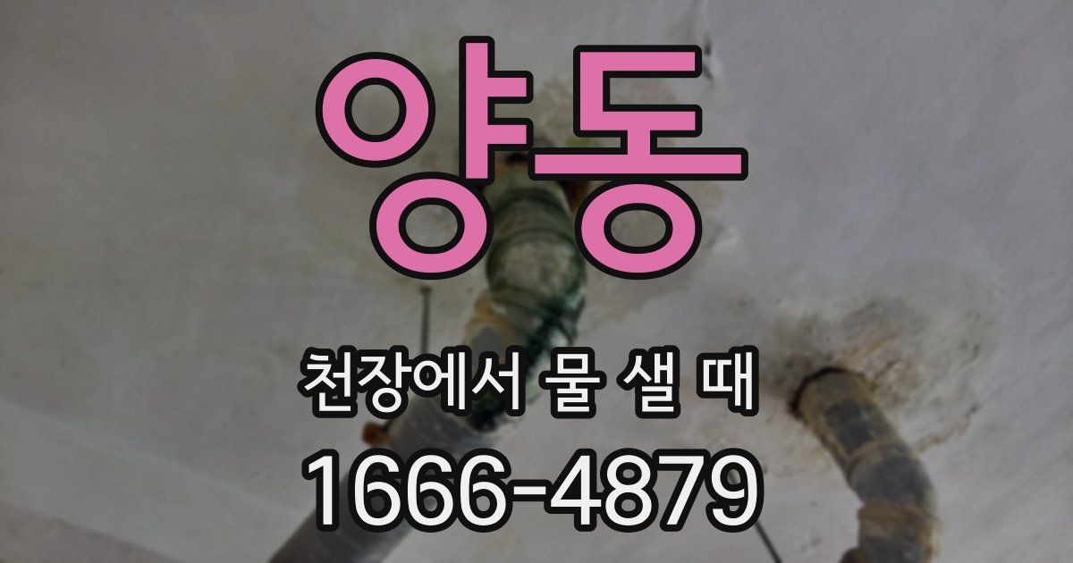 양동 천장에서 물 샐 때