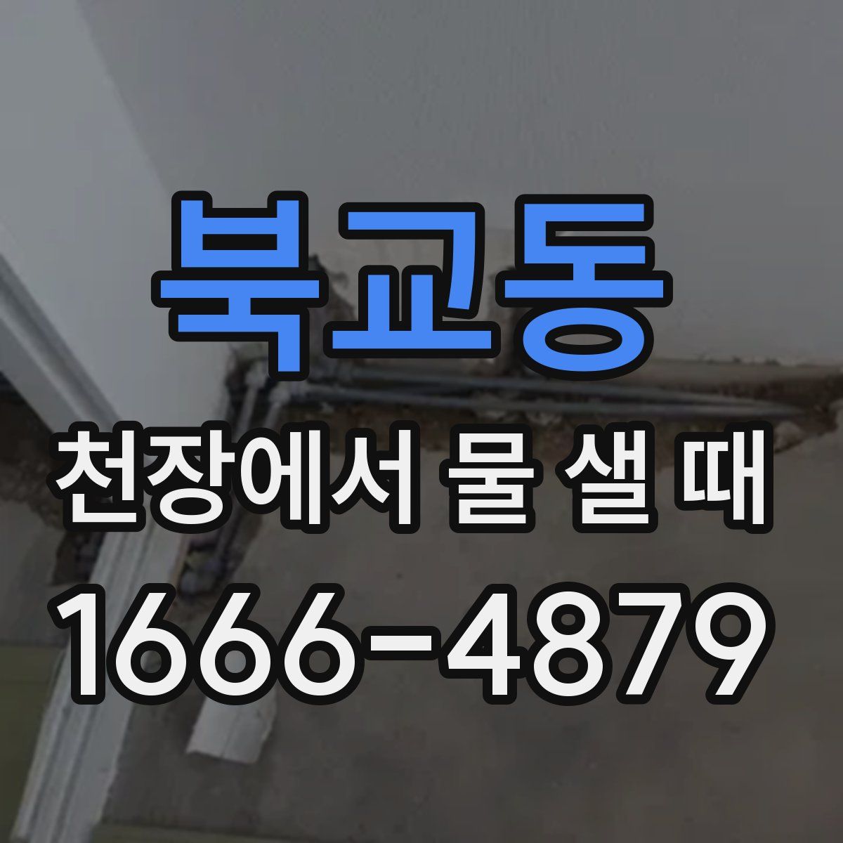 북교동 천장에서 물 샐 때