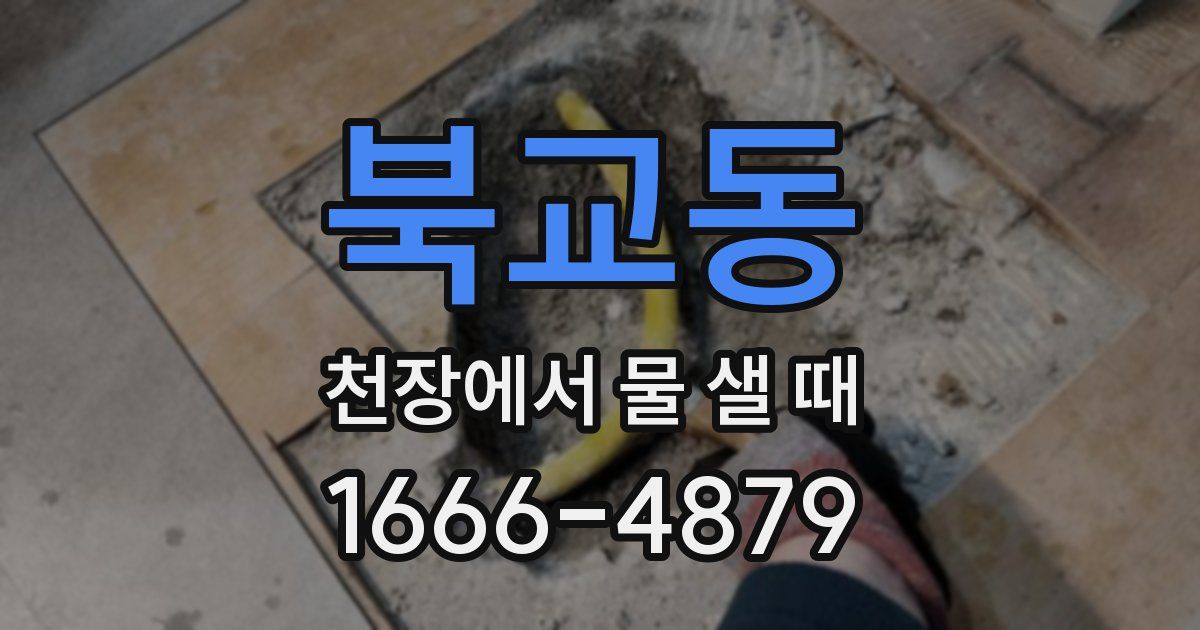 북교동 천장에서 물 샐 때