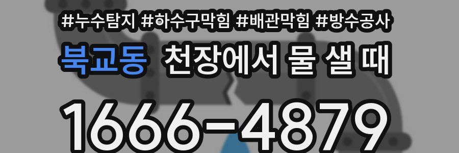 북교동 천장에서 물 샐 때