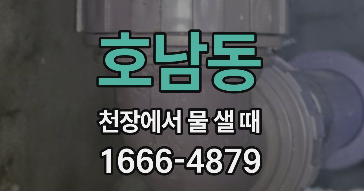 호남동 천장에서 물 샐 때