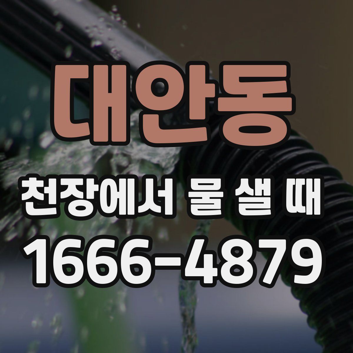 대안동 천장에서 물 샐 때