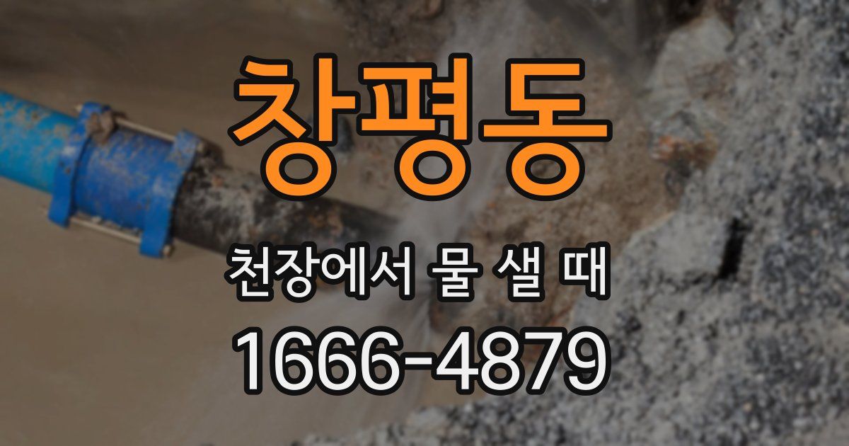 창평동 천장에서 물 샐 때