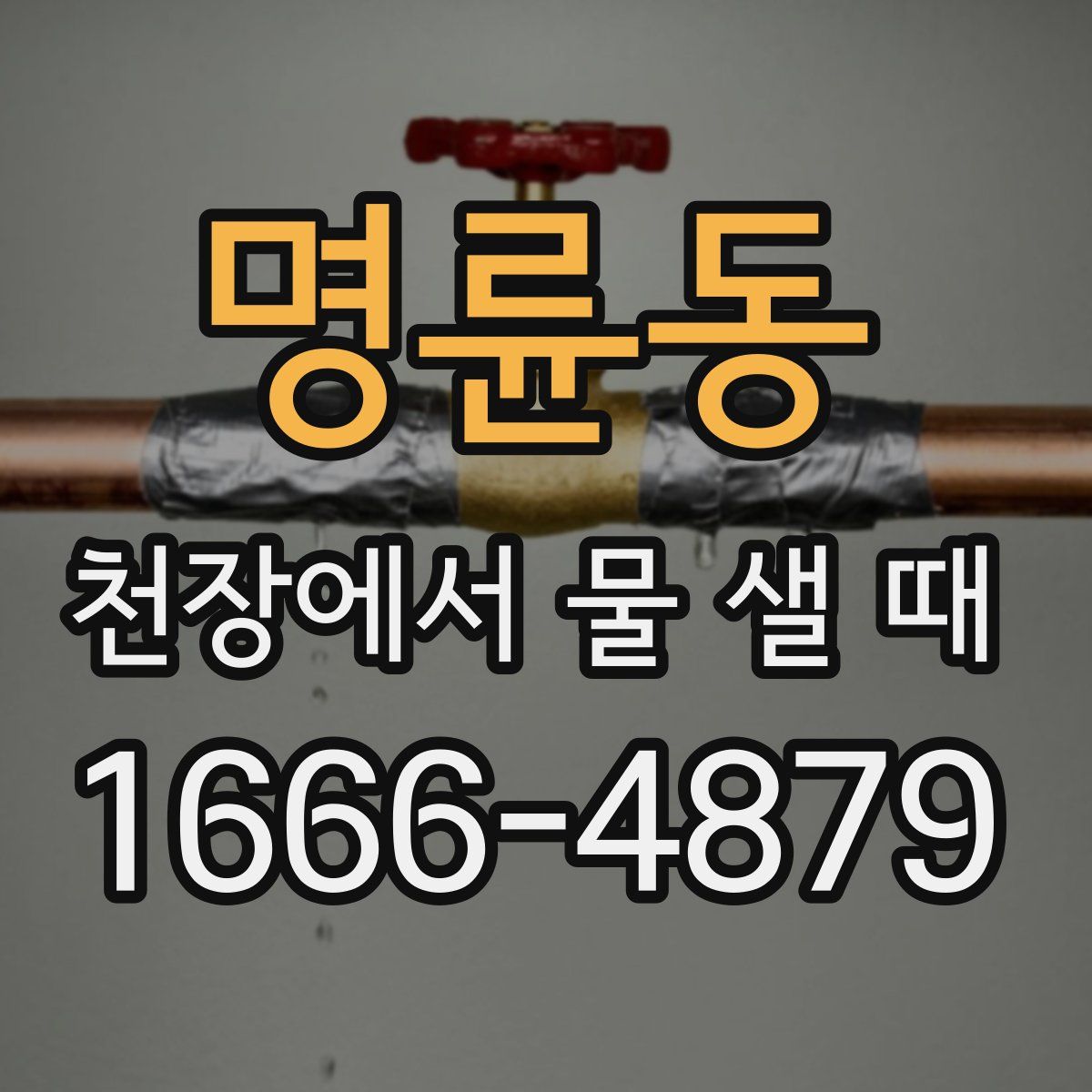 명륜동 천장에서 물 샐 때