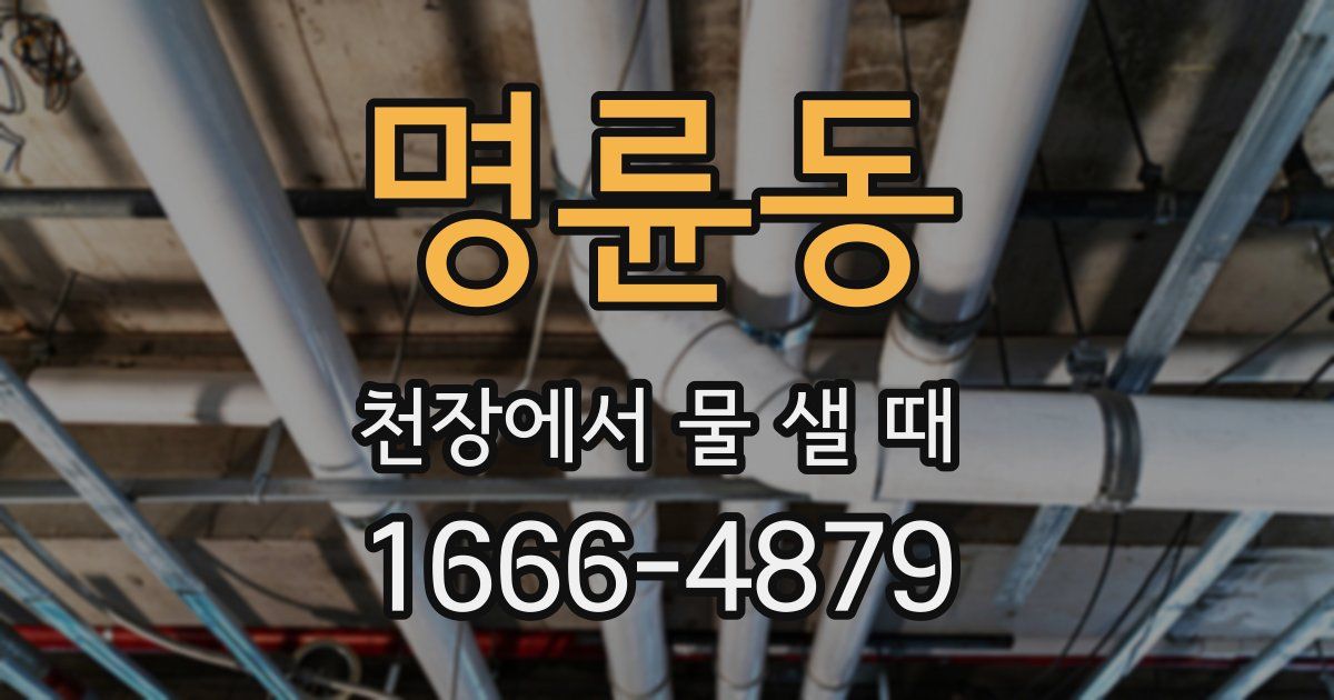 명륜동 천장에서 물 샐 때