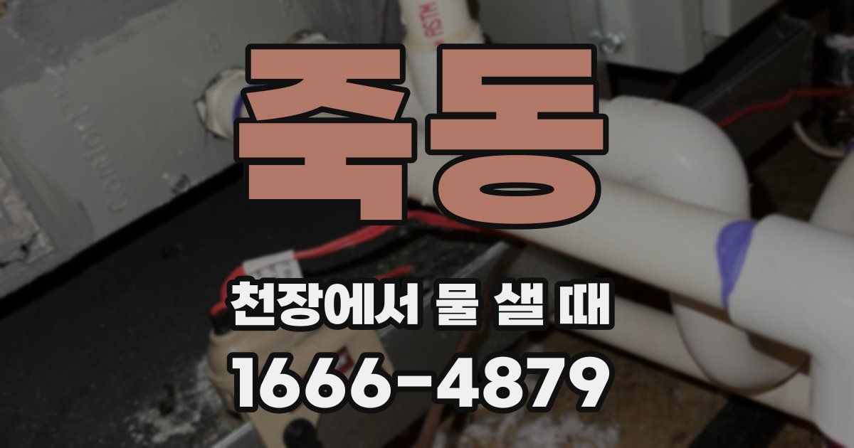 죽동 천장에서 물 샐 때