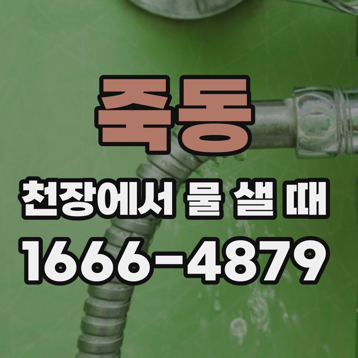 죽동 천장에서 물 샐 때