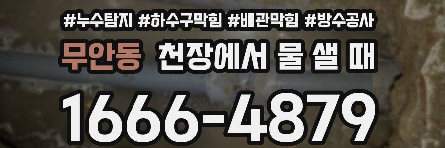무안동 천장에서 물 샐 때