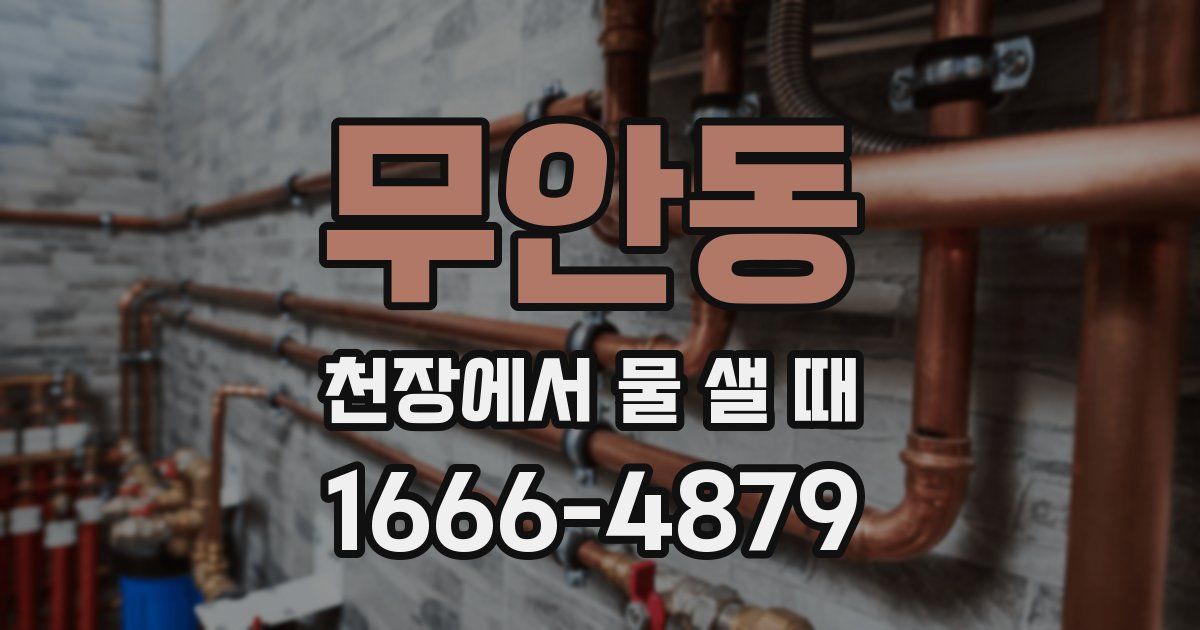 무안동 천장에서 물 샐 때