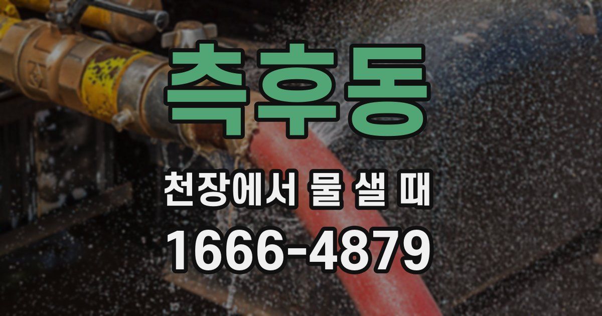 측후동 천장에서 물 샐 때