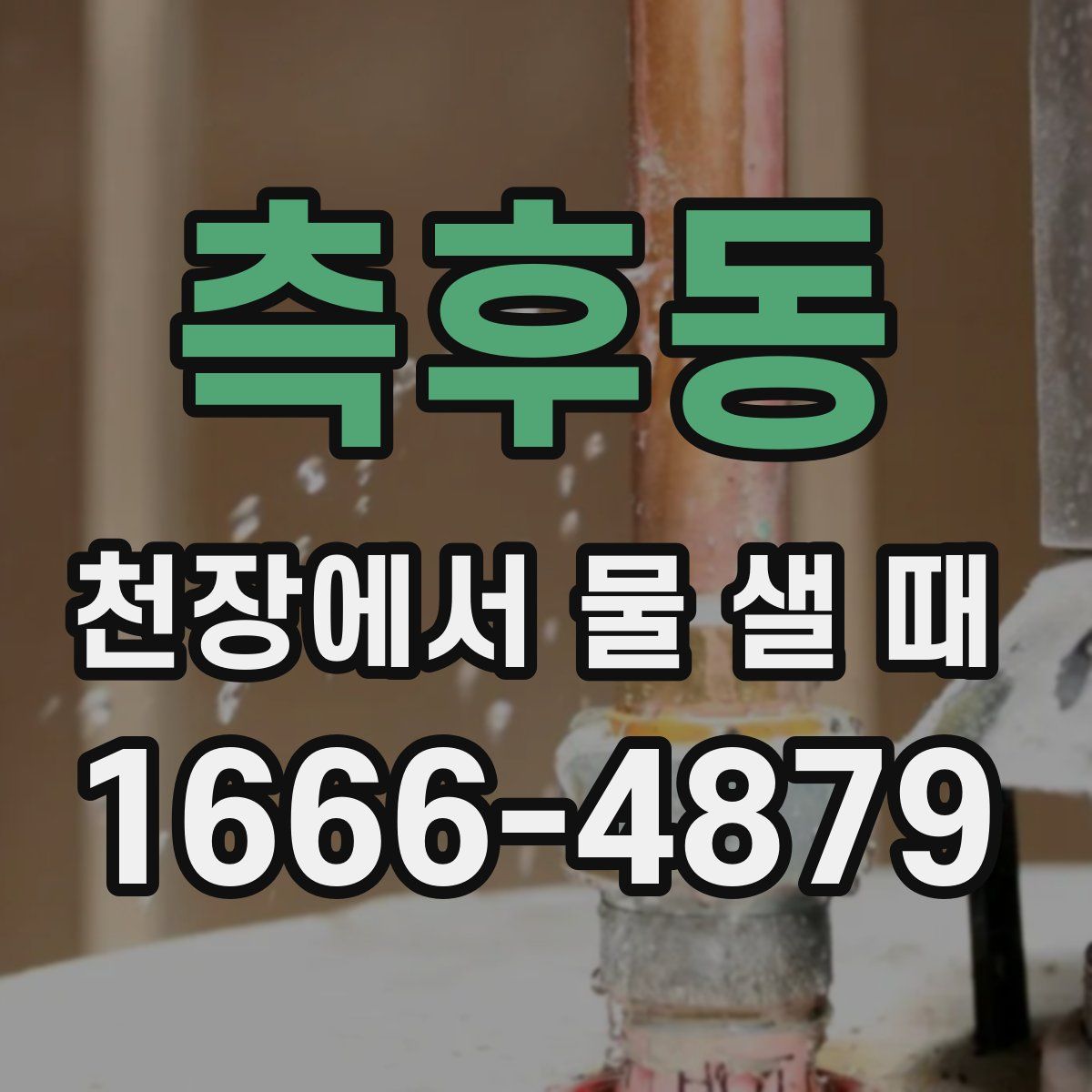측후동 천장에서 물 샐 때