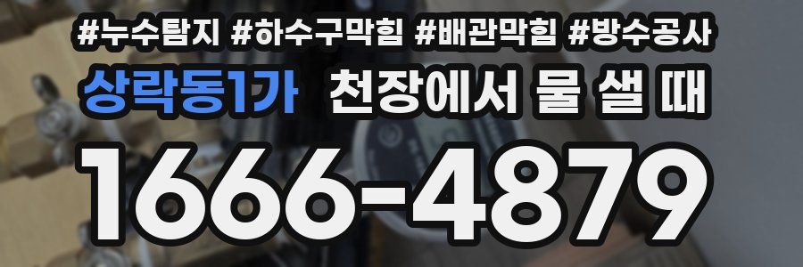 상락동1가 천장에서 물 샐 때