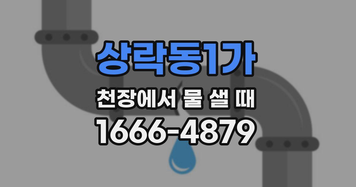 상락동1가 천장에서 물 샐 때