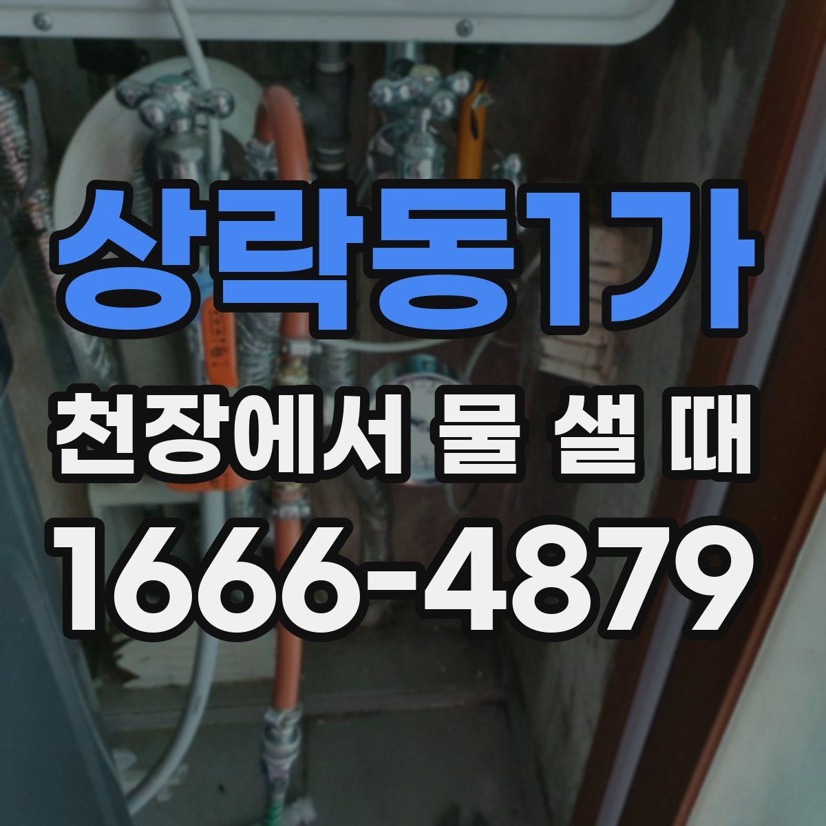 상락동1가 천장에서 물 샐 때