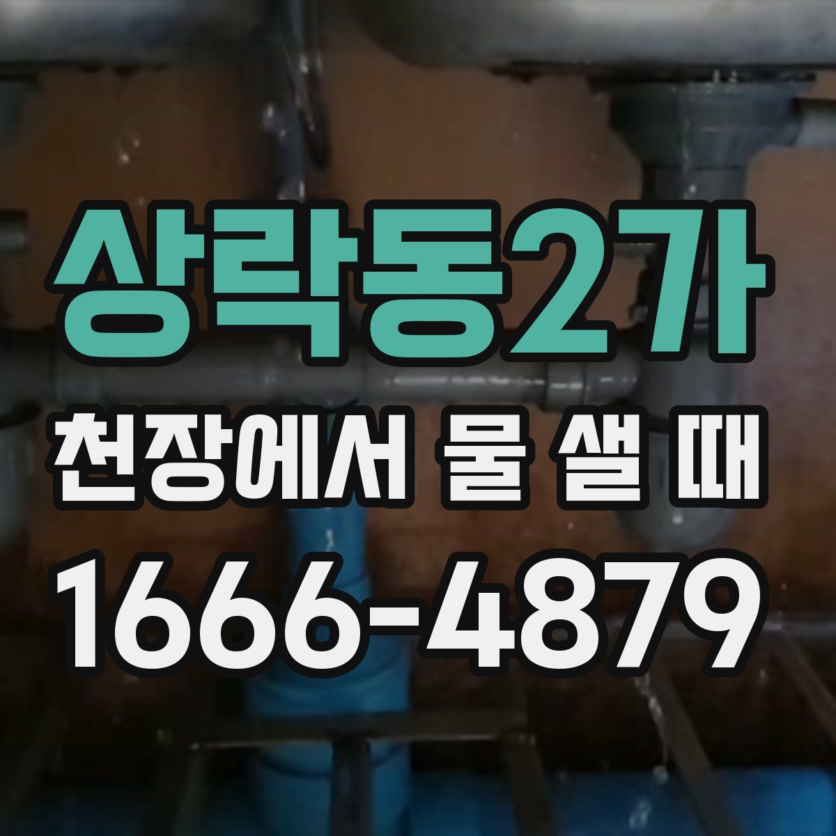 상락동2가 천장에서 물 샐 때