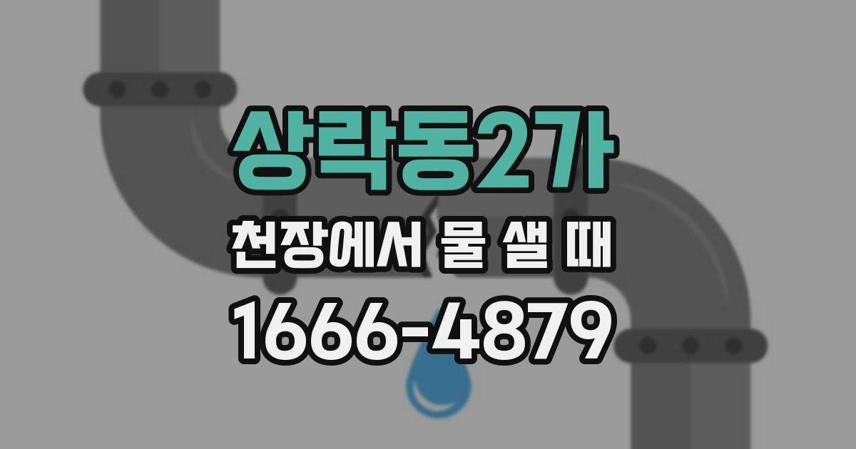 상락동2가 천장에서 물 샐 때
